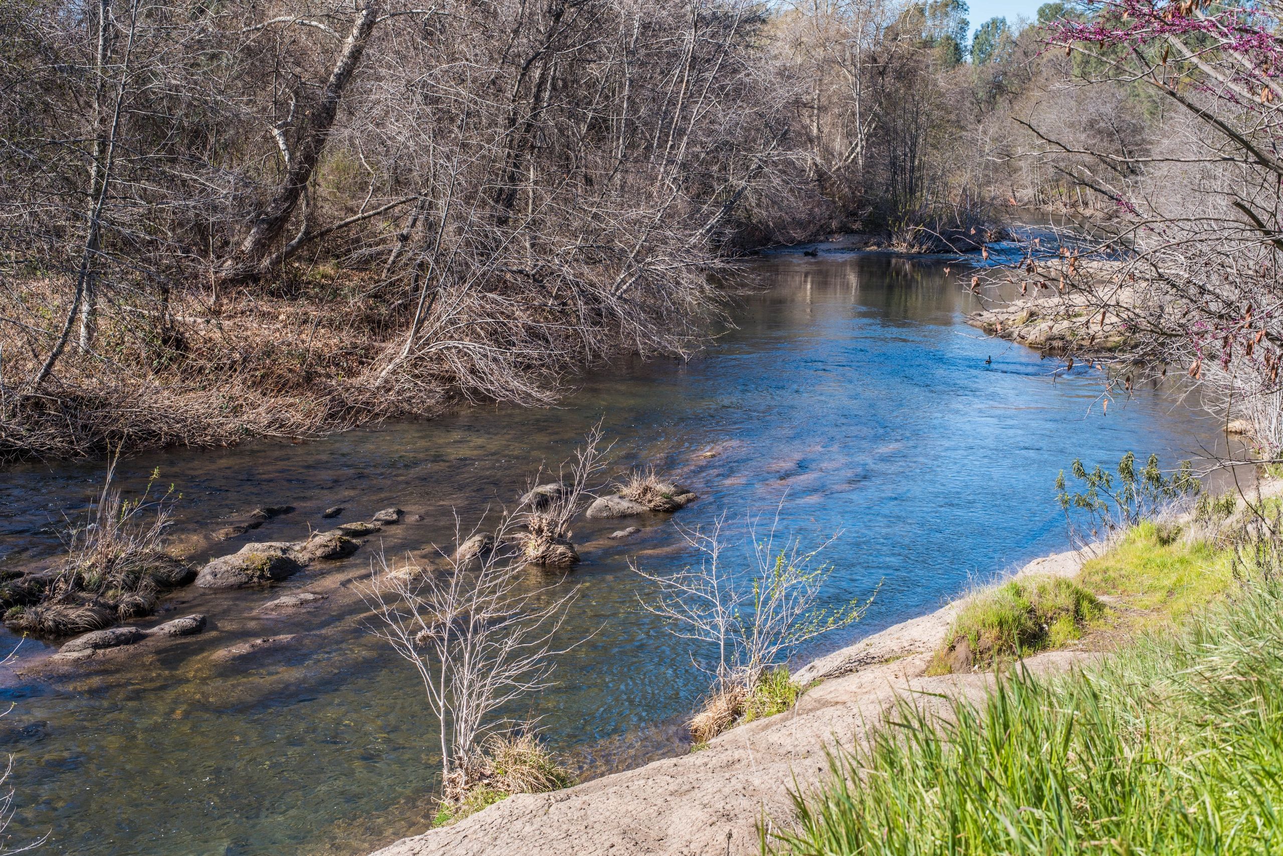 Home Student Housing At College Housing Chico Com